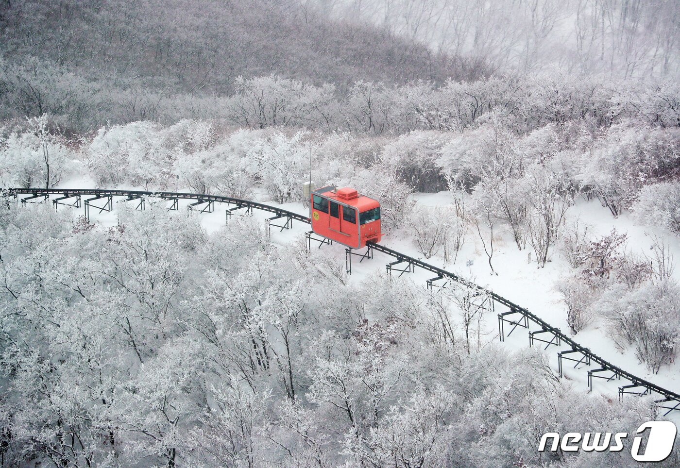 본문 이미지 - 절기상 춘분을 하루 앞둔 20일 경남 함양군 병곡면 대봉산 휴양밸리에서 관광객이 모노레일을 타며 하얀 눈을 구경하고 있다. (함양군 김용만 제공) 2022.3.20/뉴스1