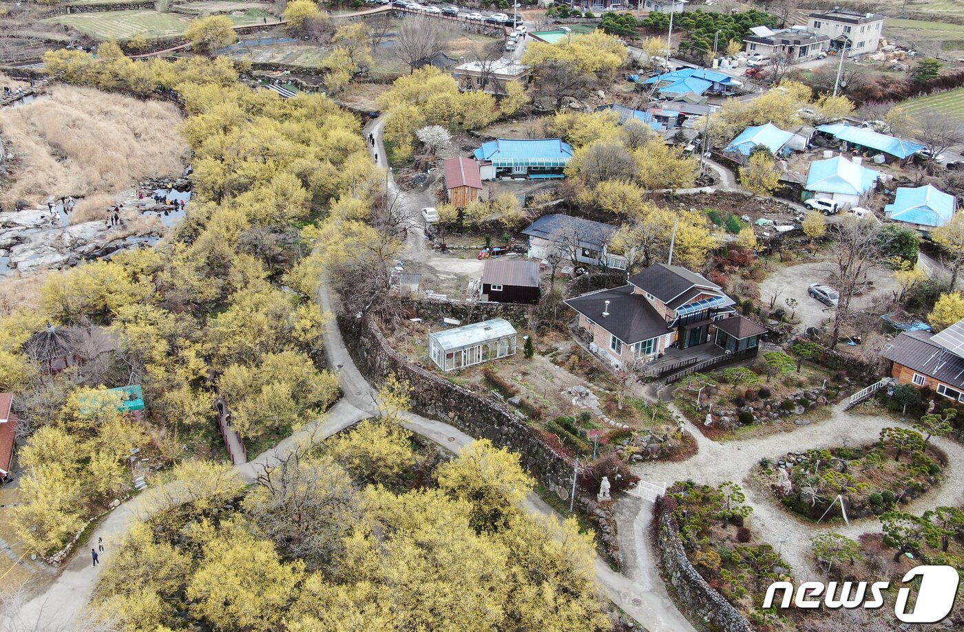 본문 이미지 - 절기상 춘분을 하루 앞둔 20일 오전 전남 구례군 산동면 산수유 마을을 찾은 시민들이 봄 기운을 만끽하고 있다. 2022.3.20/뉴스1 ⓒ News1 이재명 기자