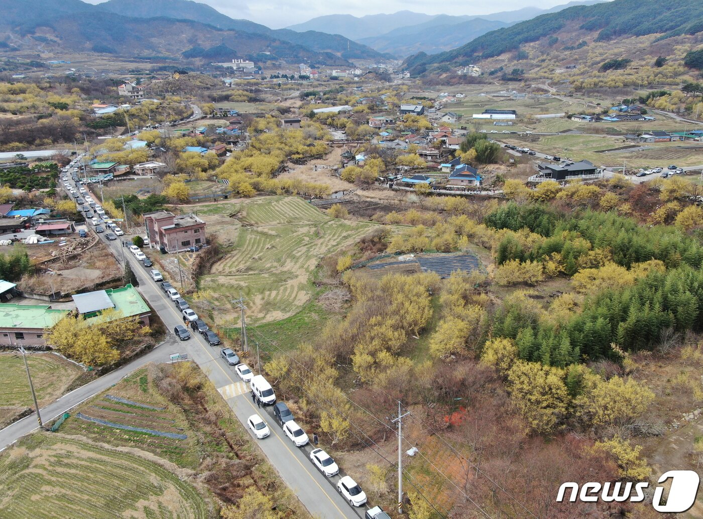 본문 이미지 - 절기상 춘분을 하루 앞둔 20일 오전 전남 구례군 산동면 산수유 마을을 찾은 상춘객들의 차량들로 붐비고 있다. 2022.3.20/뉴스1 ⓒ News1 이재명 기자