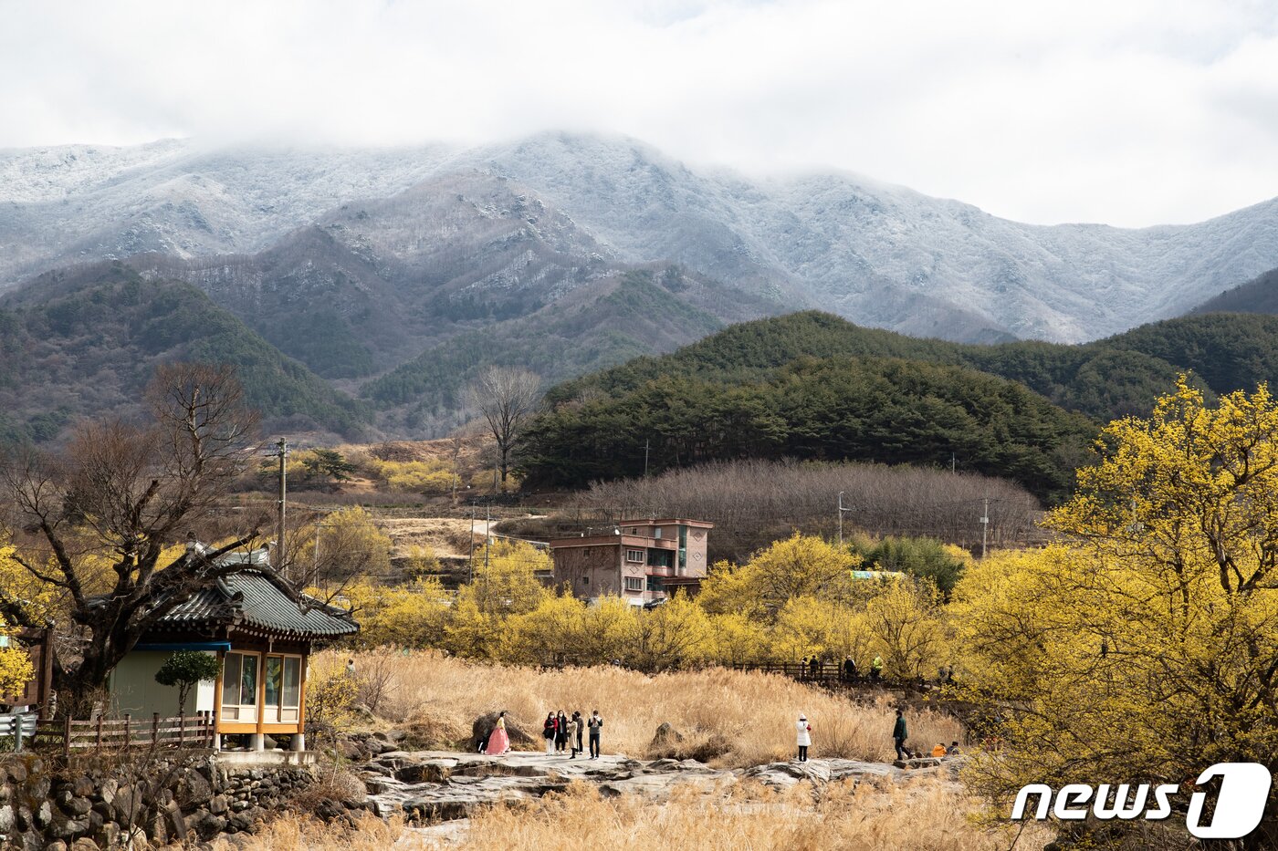 본문 이미지 - 절기상 춘분을 하루 앞둔 20일 오전 전남 구례군 산동면 산수유 마을을 찾은 시민들이 봄 기운을 만끽하고 있다. 뒷쪽으로는 지리산 자락의 상고대가 보인다. 2022.3.20/뉴스1 ⓒ News1 이재명 기자
