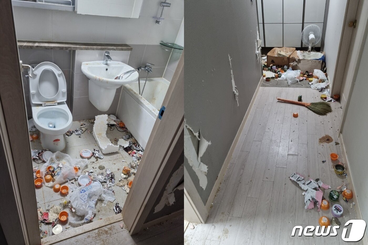 본문 이미지 - 애니멀 호더의 방치 때문에 고양이들은 배설물 속에 뒤엉켜 살았다.(나비야사랑해 제공) ⓒ 뉴스1
