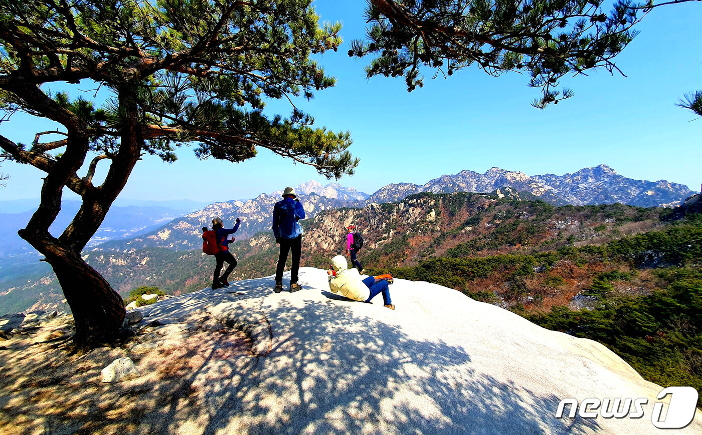 본문 이미지 - 관봉의 소나무 그늘 아래 마당바위에서 북한산 절경을 즐기는 사람들 ⓒ 뉴스1