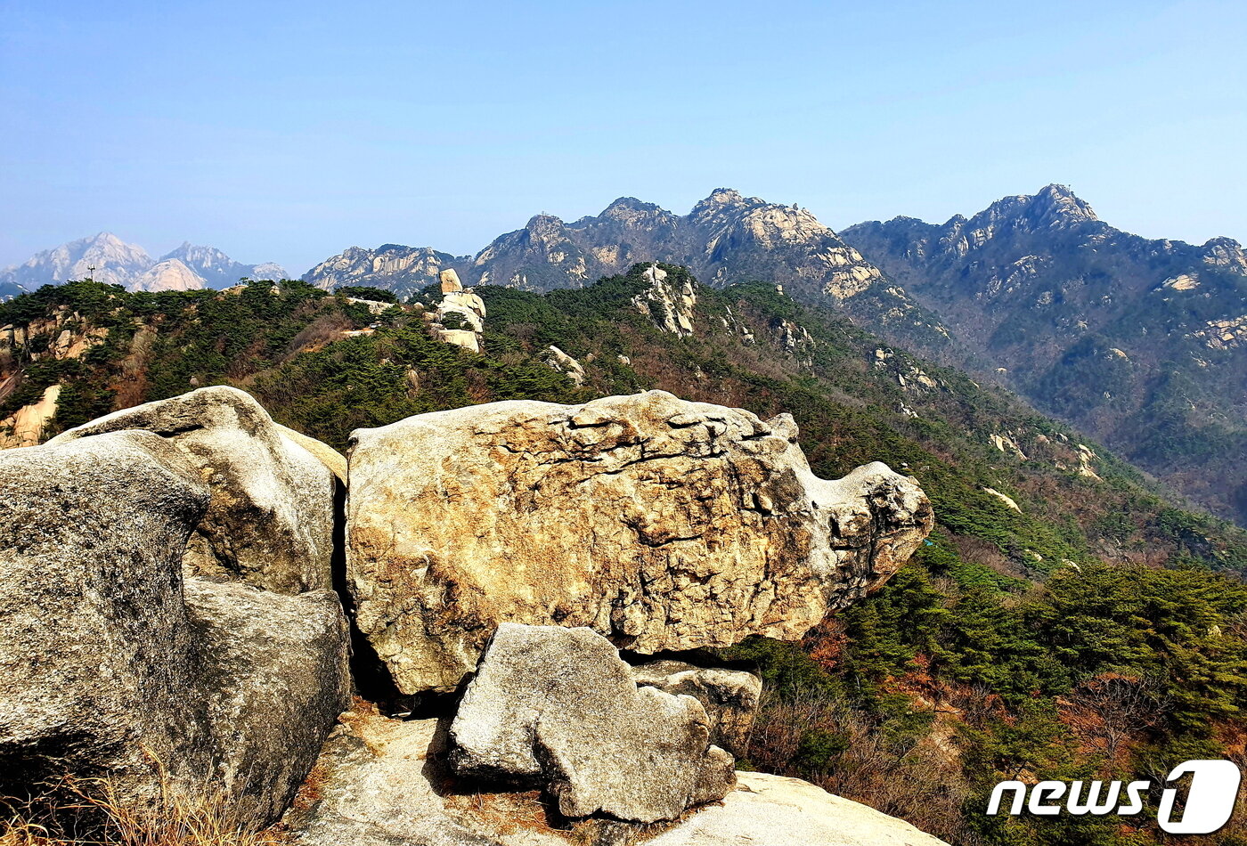 본문 이미지 - 비봉의 코뿔소바위. 사람들이 하도 올라타서 콧잔등이 하얗게 벗겨졌다. 형태가 완전히 마모될 때까지 올라타야 되는가... 안타깝다 ⓒ 뉴스1