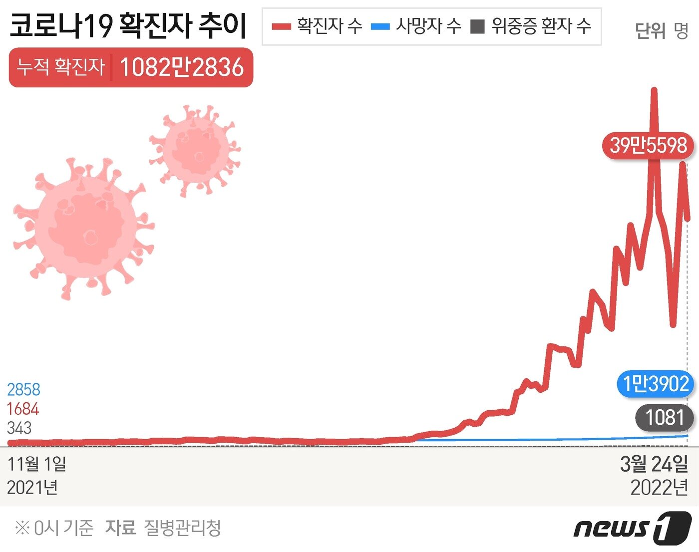 본문 이미지 - ⓒ News1 윤주희 디자이너