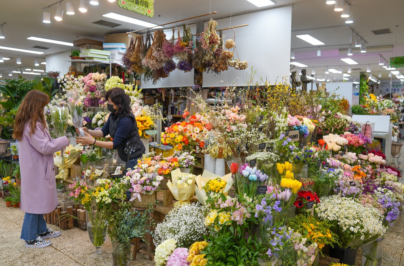 본문 이미지 - 화사한 봄기운이 물씬 풍기는 양재꽃시장. 한국관광공사 제공