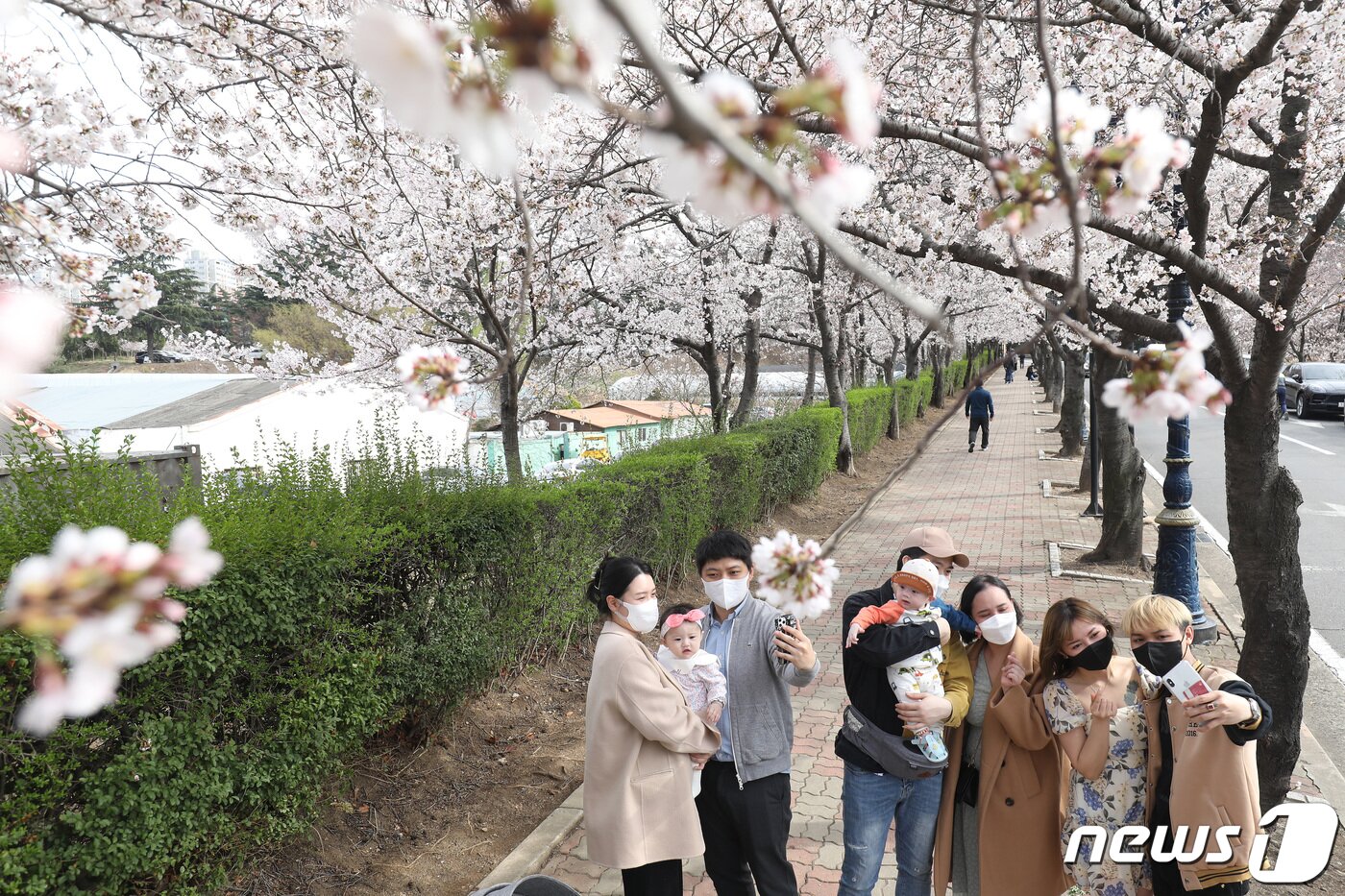 본문 이미지 - 대구의 낮 최고기온이 20.7도까지 오른 27일, 휴일을 맞아 벚꽃축제가 한창인 대구 달서구 테마파크 이월드를 찾은 시민들이 활짝 핀 벚꽃 아래서 봄의 정취를 만끽하고 있다. 이월드는 오는 4월10일까지 2022 벚꽃축제 ‘블라썸 피크닉’을 일주일 연장 개최한다. 한편, 대구에서는 지난 26일 올해 첫 벚꽃이 관측됐다. 올해 대구의 벚꽃 개화는 지난해보다 3일 늦고 평년보다 3일 빨랐다. 2022.3.27/뉴스1 ⓒ News1 공정식 기자
