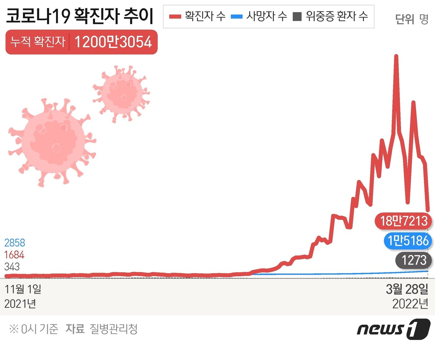본문 이미지 - ⓒ News1 최수아 디자이너