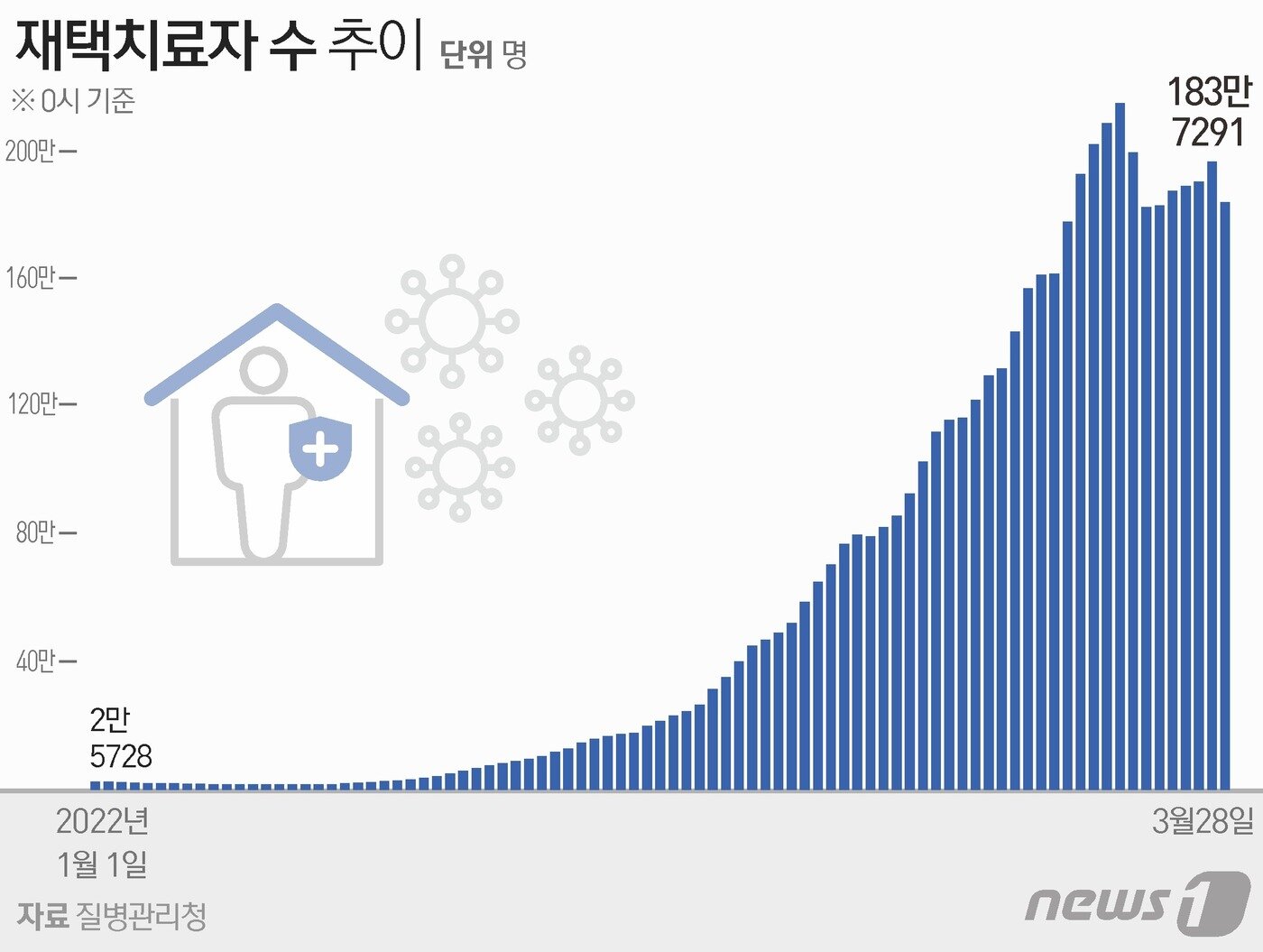 본문 이미지 - ⓒ News1 최수아 디자이너