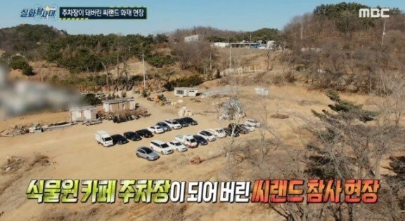 본문 이미지 - (MBC 방송화면 갈무리) ⓒ 뉴스1