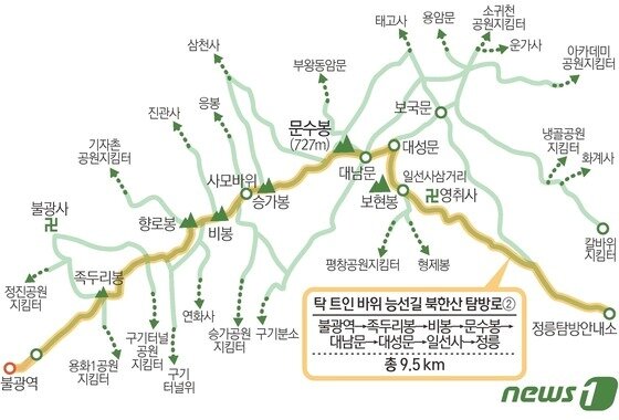 본문 이미지 - ⓒ 뉴스1 김초희 디자이너