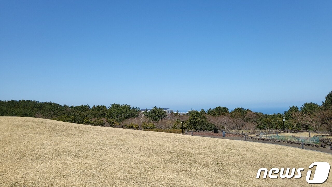 본문 이미지 - 카카오 오름에 올라서면 보이는 제주 바다의 모습. 날씨가 좋은 날은 '추자도'까지 보인다. ⓒ 뉴스1 송화연 기자