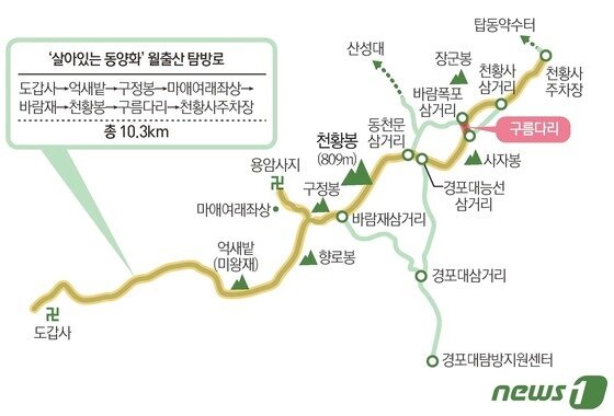 본문 이미지 - ⓒ 뉴스1 김초희 디자이너
