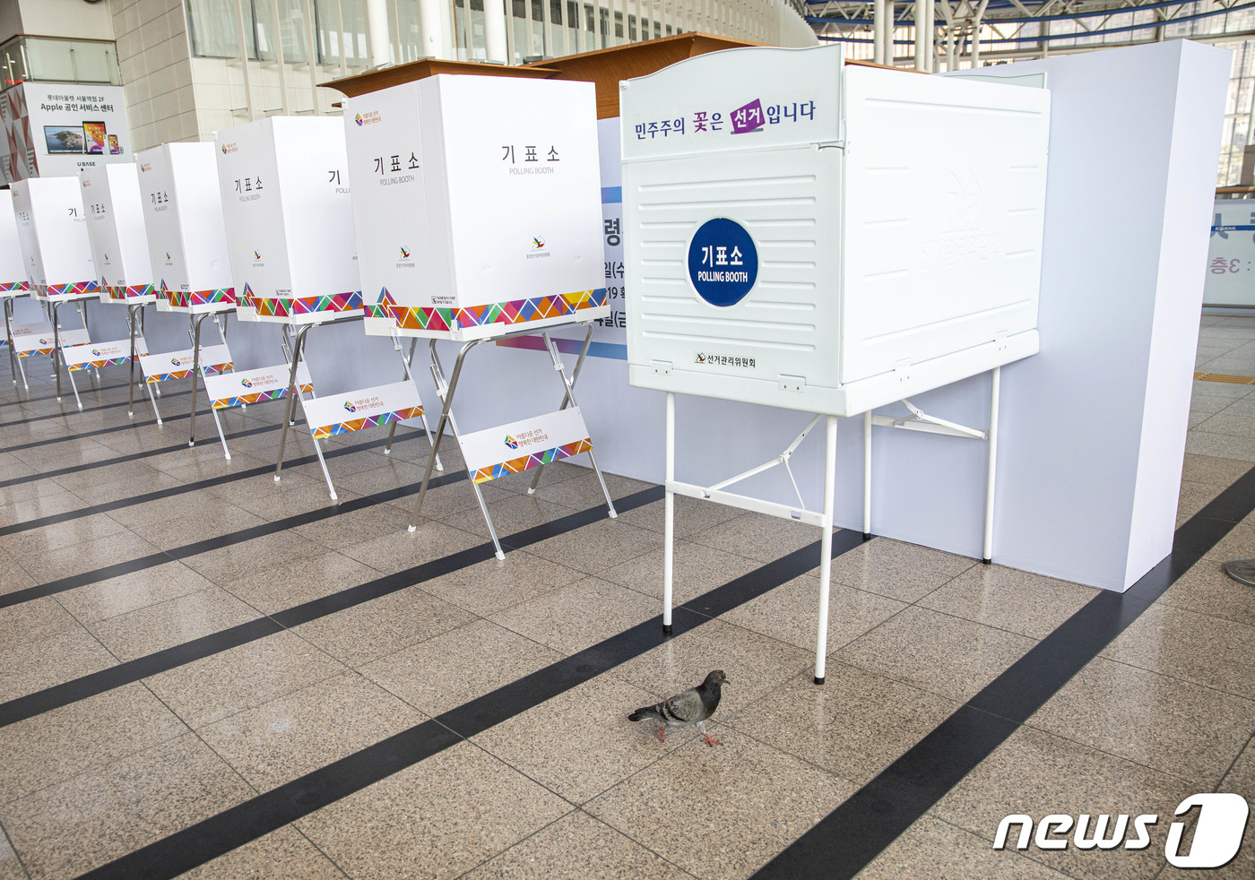 (서울=뉴스1) 안은나 기자 = 제20대 대통령 선거 사전투표를 하루 앞둔 3일 서울역에 마련된 남영동사전투표소에서 비둘기 한 마리가 지나가고 있다. 2022.3.3/뉴스1