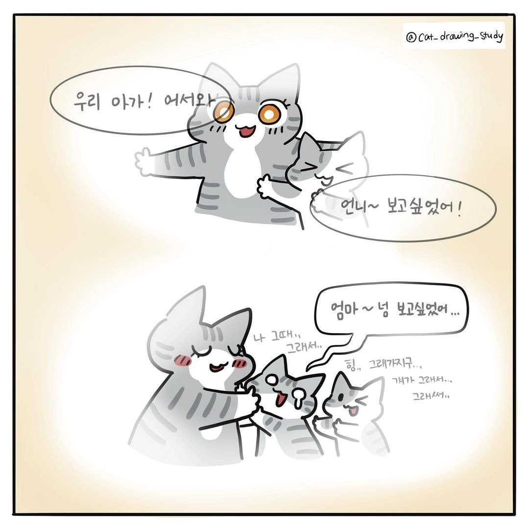 본문 이미지 - 최아름 수의사의 고양이그림공부 ⓒ 뉴스1