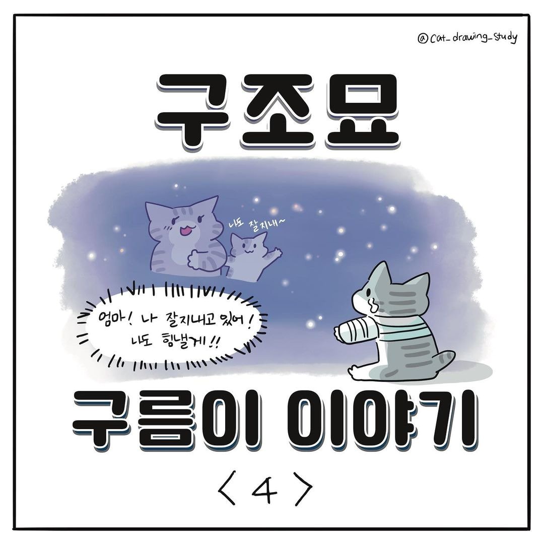 본문 이미지 - 최아름 수의사의 고양이그림공부 ⓒ 뉴스1