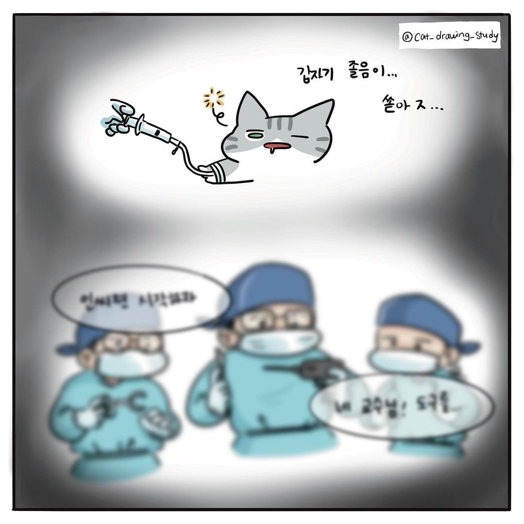 본문 이미지 - 최아름 수의사의 고양이그림공부 ⓒ 뉴스1