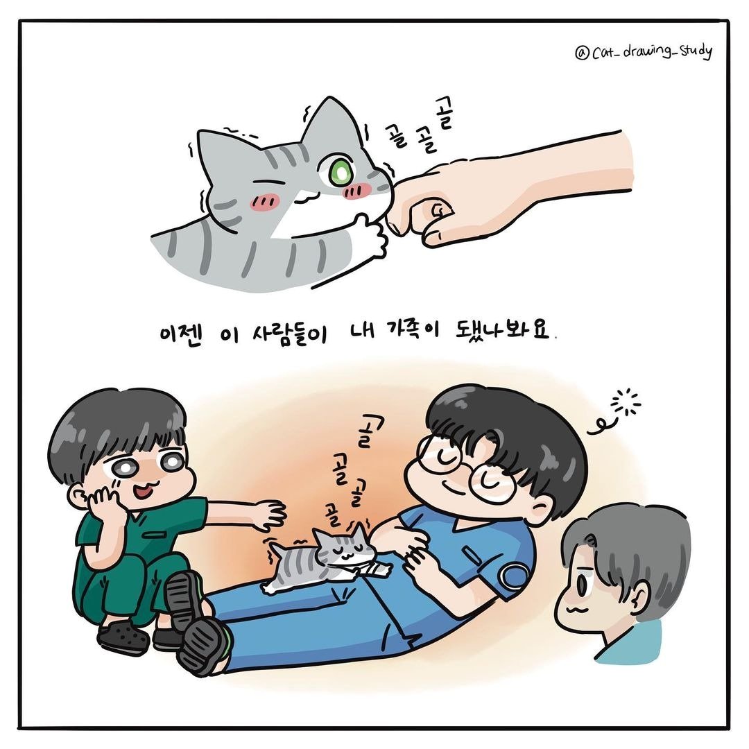 본문 이미지 - 최아름 수의사의 고양이그림공부 ⓒ 뉴스1