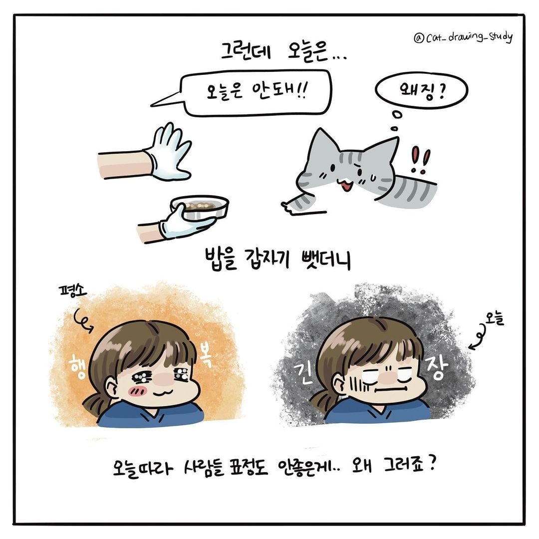 본문 이미지 - 최아름 수의사의 고양이그림공부 ⓒ 뉴스1