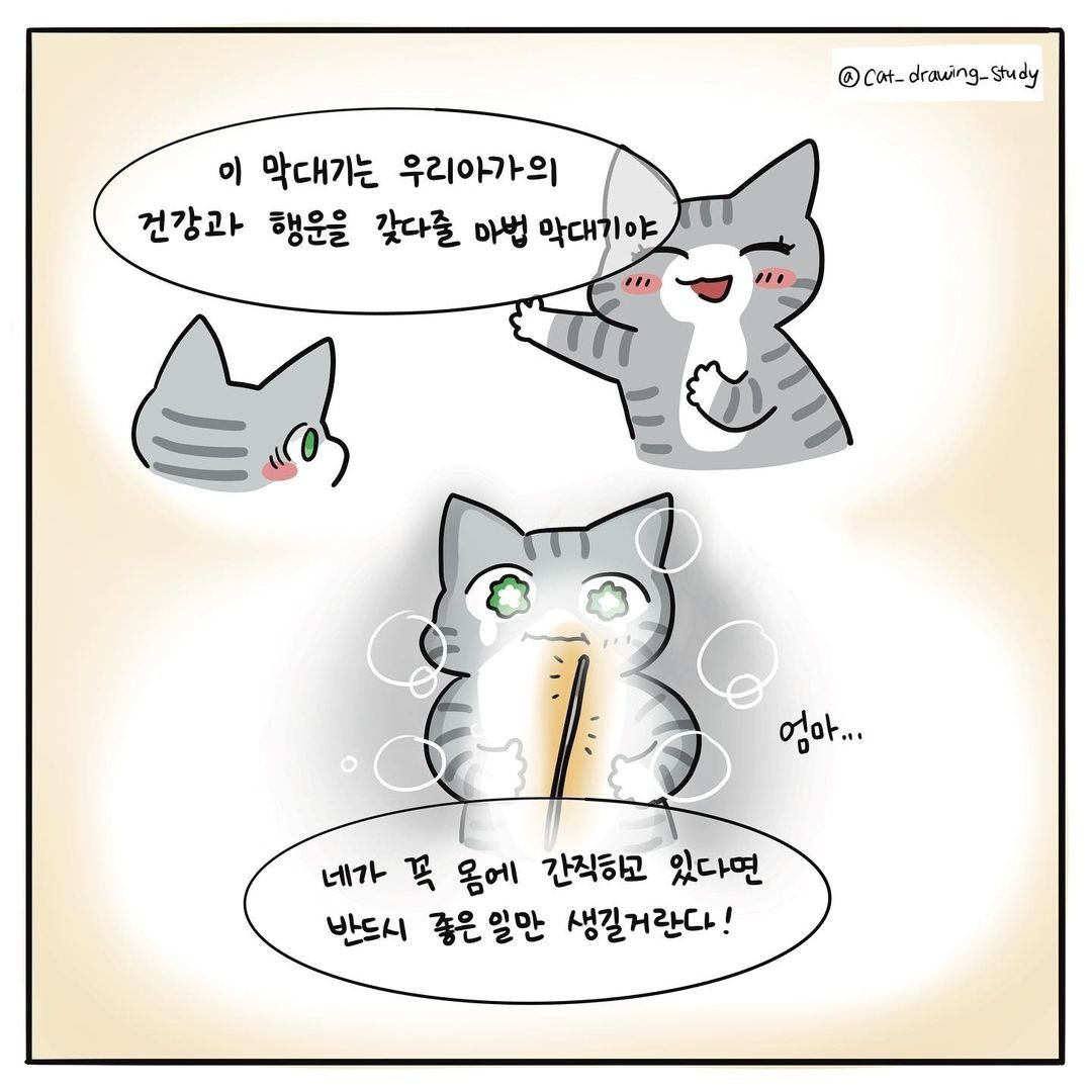 본문 이미지 - 최아름 수의사의 고양이그림공부 ⓒ 뉴스1