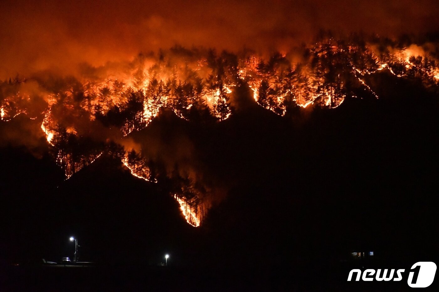 본문 이미지 - 4일 경북 울진에서 발생한 산불이 강원 삼척으로 번진 가운데 진화당국은 야간 진화체제로 전환했다. 사진은 산불이 '산양마을'로 알려진 원덕읍 산양2리 고적마을 뒷산으로 번지는 모습.(삼척시 제공)2022.3.4/뉴스1 ⓒ News1 윤왕근 기자