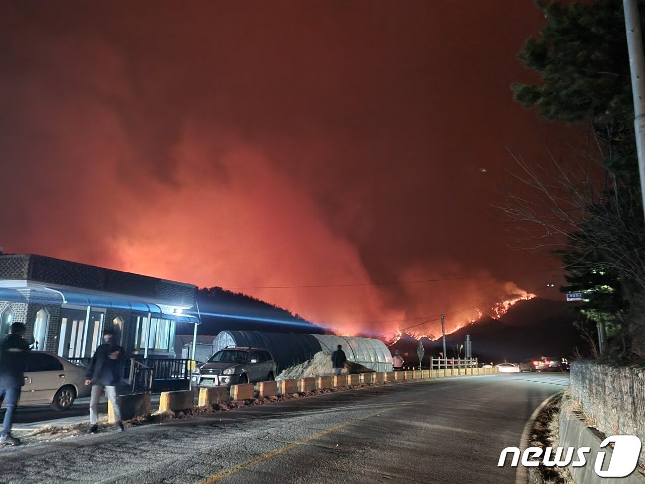 본문 이미지 - 4일 경북 울진에서 발생한 산불이 강원 삼척 원덕읍 일대 민가 뒤로 확산하고 있다.(삼척시 제공)2022.3.4/뉴스1