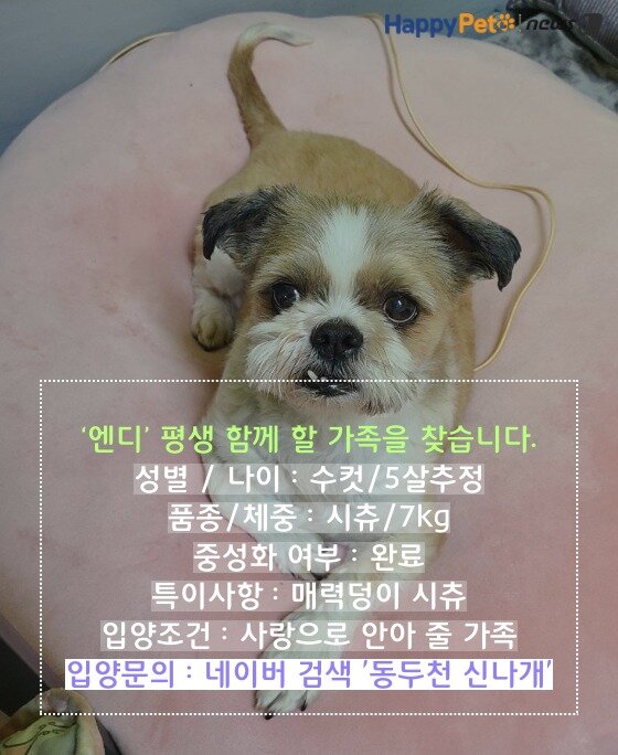 본문 이미지 -  카드뉴스 제작툴_tyle.io ⓒ 뉴스1  