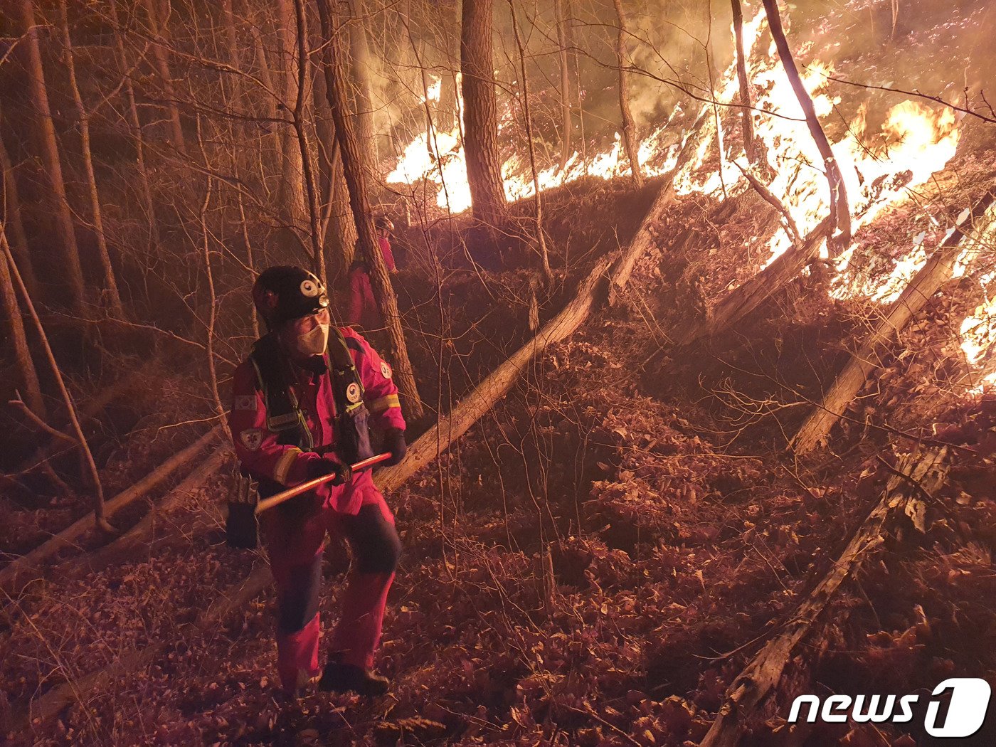 본문 이미지 - 지난 4~5일 동해안을 비롯한 강원 곳곳을 휩쓴 산불 대부분이 꺼지지 않은 채 야간 대응 체제로 전환됐다. 강릉·동해 산불을 비롯, 울진·삼척 산불, 영월 산불은 아직 주불을 진화하지 못한 채 이튿날 밤을 맡게 됐다. 사진은 4일 강원도 산불 화재 지역에서 산림청 산림항공본부 대원이 지상 진화 작업에 나서고 있다. (산림청 제공) 2022.3.5/뉴스1 ⓒ News1 임세영 기자