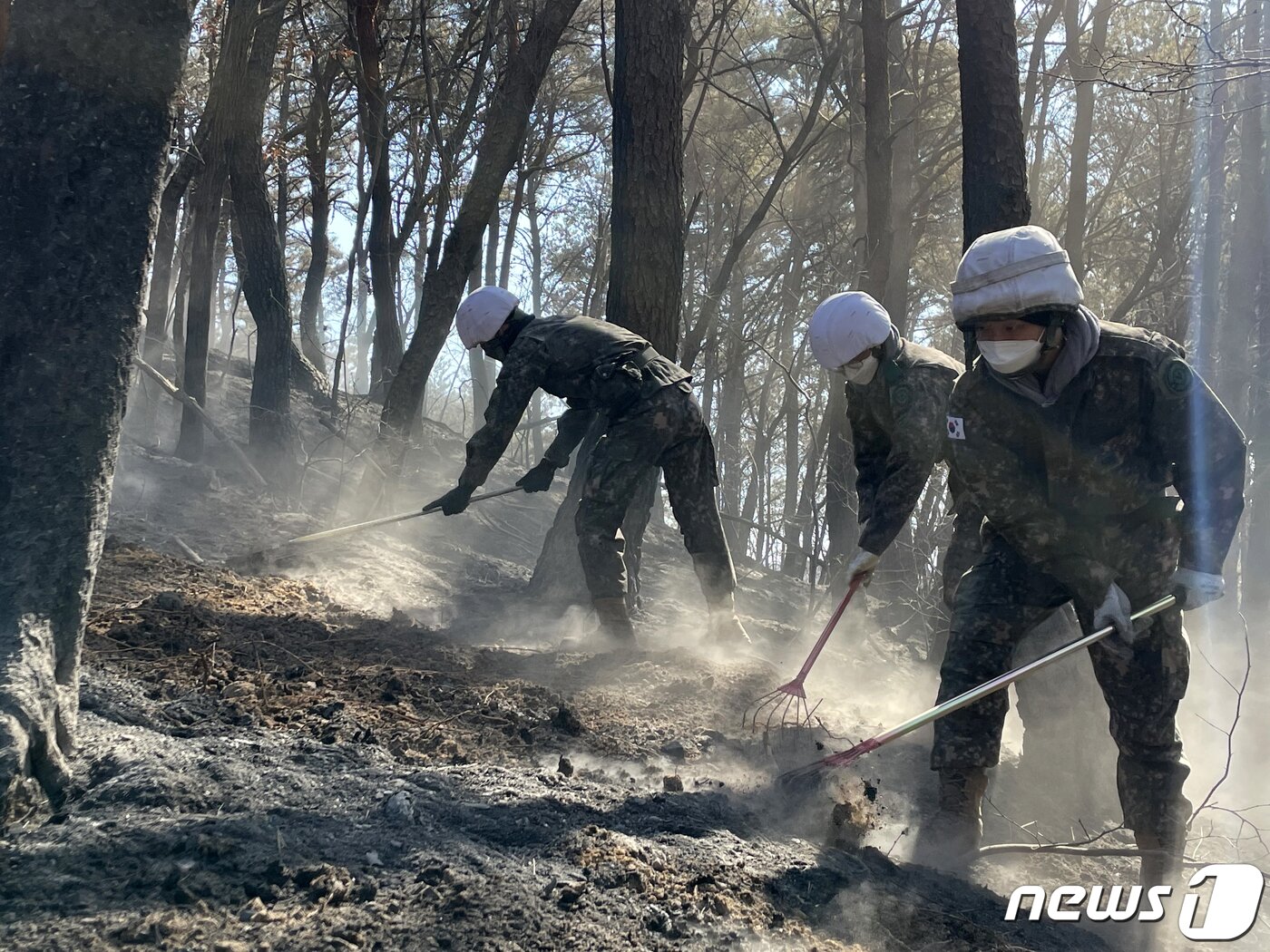 본문 이미지 - 육군 제50보병사단 강철부대 장병들이 6일 경북 울진군 북면 고성1리, 명도1,2리 일원 산불 피해현장에서 잔불 정리 작전을 전개하고 있다. (육군50사단제공)2022.3.6/뉴스1 ⓒ News1 최창호 기자