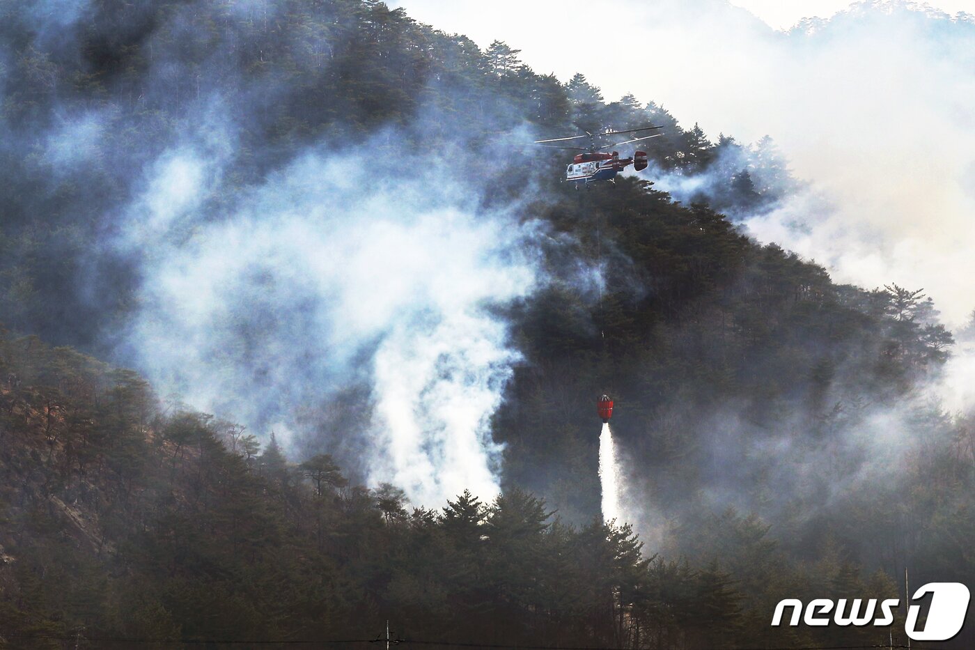 본문 이미지 - 6일 오후 강원 삼척시 사곡리 일대 야산에 경북 울진서 발생한 산불이 옮겨 붙어 소방 헬기가 진화작업을 벌이고 있다. 2022.3.6/뉴스1 ⓒ News1 민경석 기자