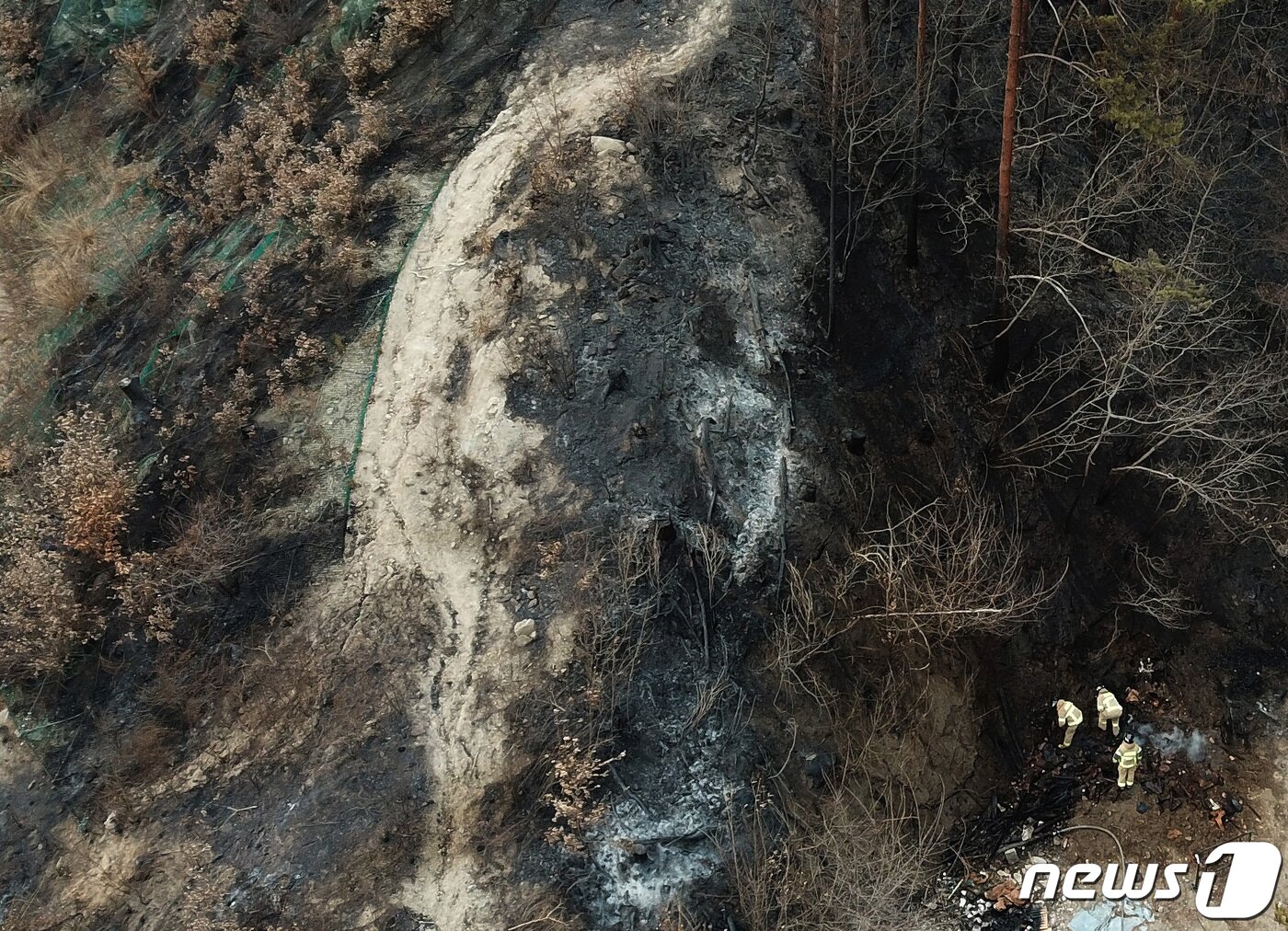 본문 이미지 - 경북 울진군 산불 사흘째인 6일 오후 소방관이 울진군 북면 덕구리 야산 자락에서 잔불을 정리하고 있다. 2022.3.6/뉴스1 ⓒ News1 공정식 기자