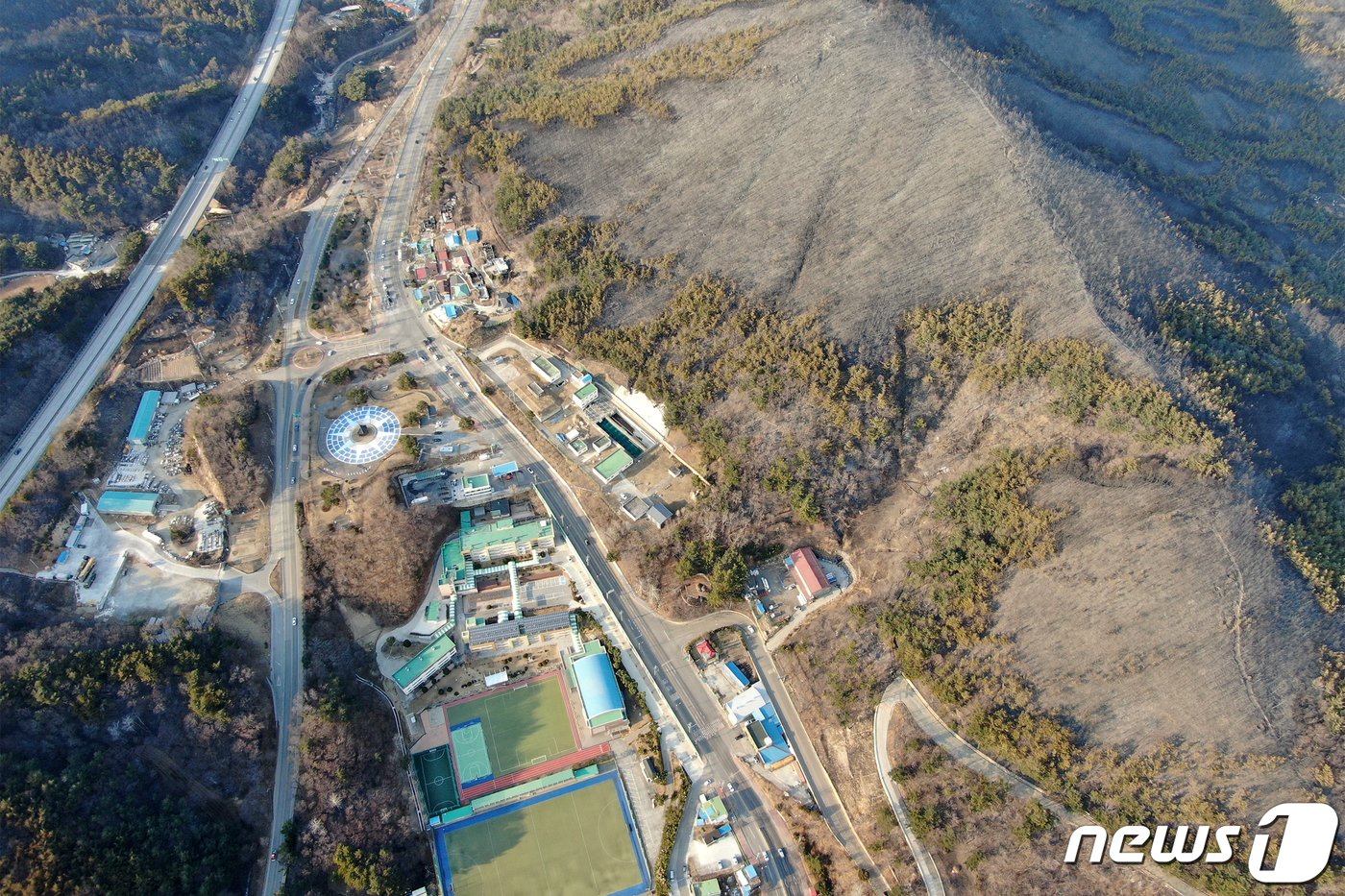 산불로 검게 그을린 강원 동해시 묵호동 일대 야산 모습. 2022.3.6/뉴스1 ⓒ News1 민경석 기자