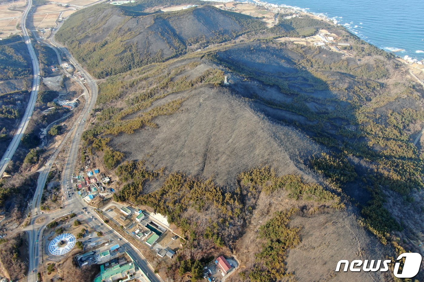 지난 2022년 3월 6일 동해안 대형산불 발생 직후 강원 동해시 묵호동 일대 산림이 검게 탄 모습이다.  60대 A 씨의 방화로 시작된 불은 강풍과 함께 대형산불로 번져 강릉·동해 일대 산림 4000㏊를 잿더미로 만들었다.&#40;뉴스1 DB&#41;