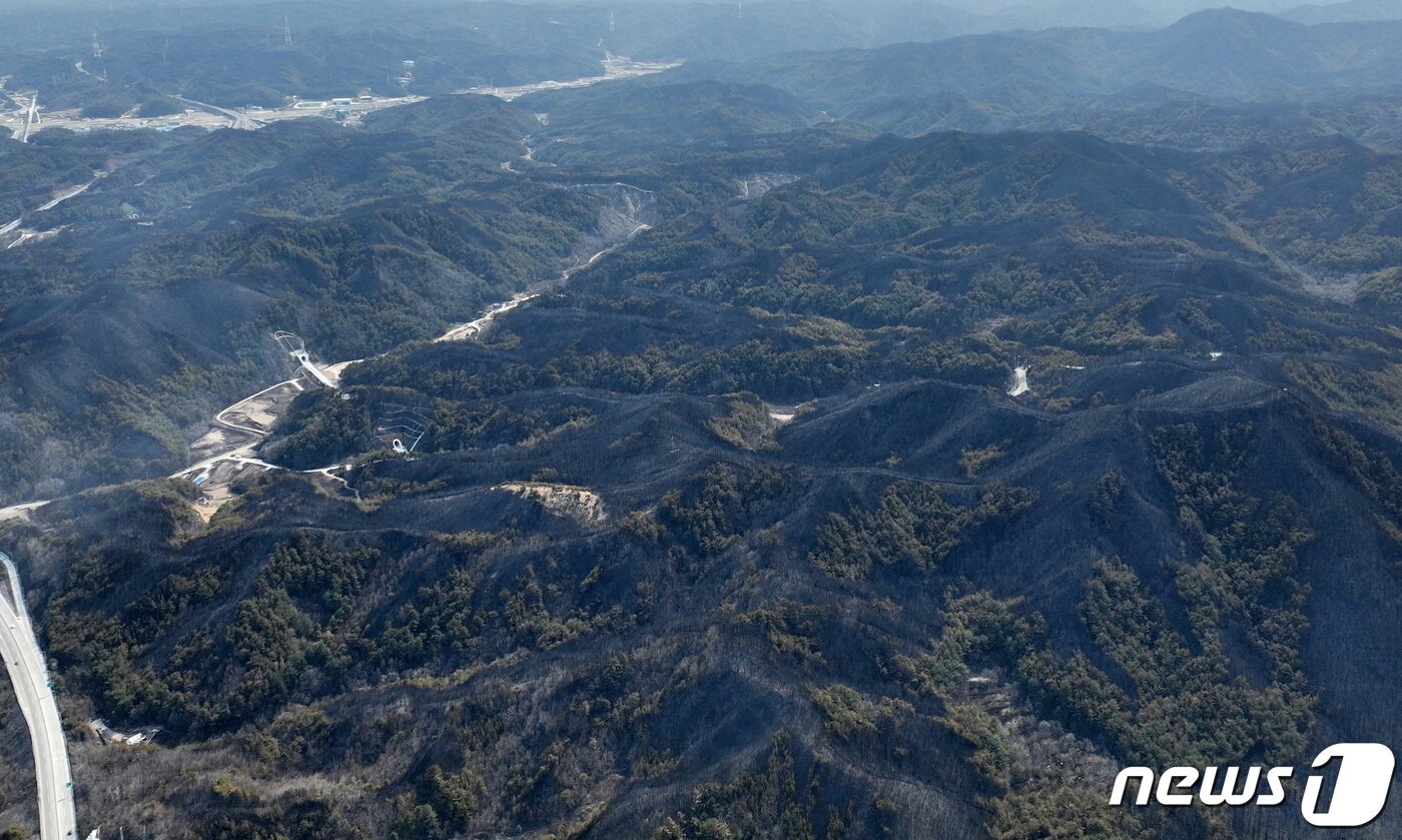 본문 이미지 - 경북 울진군 산불 사흘째인 6일 오후 화마가 지나간 경북 울진군 북면 일대가 시커먼 잿더미로 변해 있다. 2022.3.6/뉴스1 ⓒ News1 공정식 기자