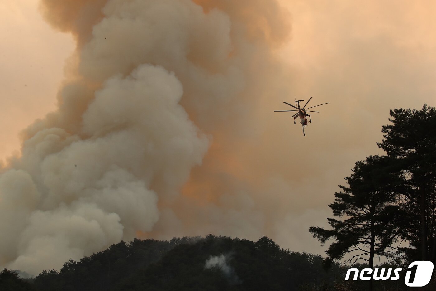본문 이미지 - 경북 울진군 산불 사흘째인 6일 오후 산림청 헬기가 울진군 북면 덕구계곡 인근 산불을 끄기 위해 안간힘을 쏟고 있다. 2022.3.6/뉴스1 ⓒ News1 공정식 기자