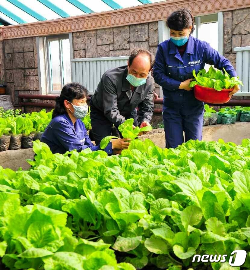 (평양 노동신문=뉴스1) = 북한 노동당 기관지 노동신문은 8일 "모든 당 일꾼들은 후방사업의 중요성을 다시금 깊이 자각하고 하나를 해도 실지 덕을 볼 수 있게 하여야 한다"라고 …