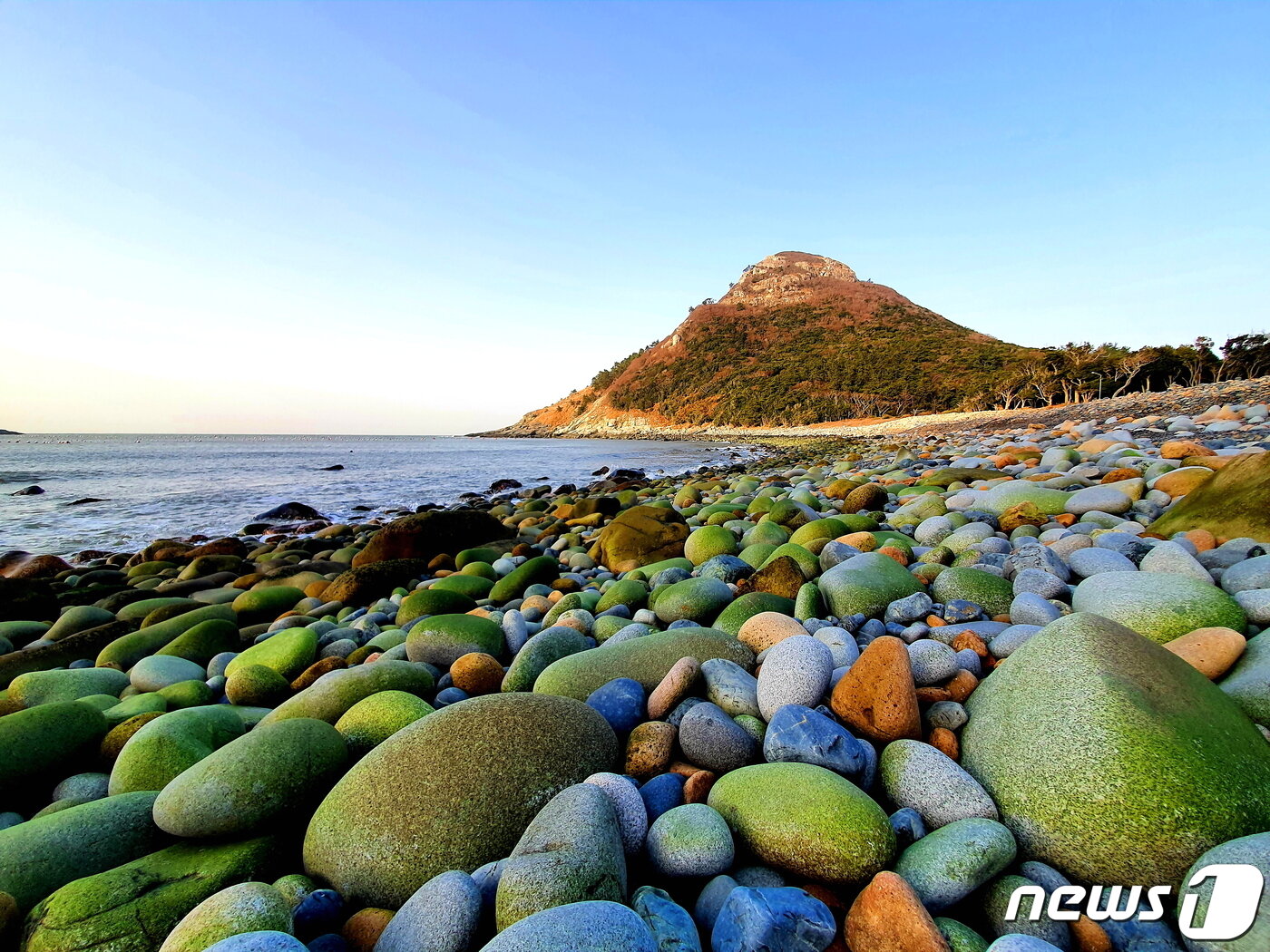 본문 이미지 - 공룡알 해변. 주먹 크기, 머리 크기의 몽돌해변을 뾰족한 보죽산이 내려다보고 있다 ⓒ 뉴스1