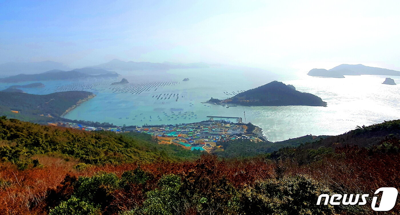 본문 이미지 - 수리봉에서 내려다 본 해안선과 바다. 발 아래 예송리, 가운데 예작도, 멀리 오른쪽 당사도, 왼쪽 완도가 조망된다 ⓒ 뉴스1