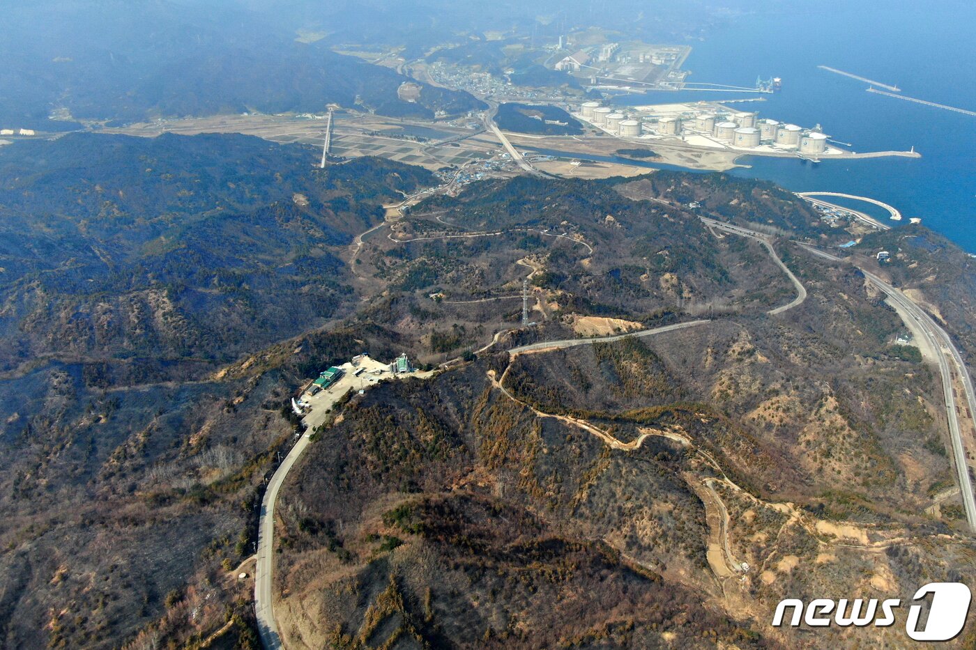 본문 이미지 - 경북 울진·강원 삼척 산불 엿새째인 9일 강원 삼척 원덕읍 월천리 일대 산림이 불에 타 까맣게 그을려 있다. 불에 탄 야산 너머 상단엔 강원 삼척시 호산항 LNG생산기지가 자리잡고 있다. 산림청과 소방당국, 지자체에 따르면 이날 울진˙삼척 산불의 전체 진화율은 70%까지 높아진 상황이다. 2022.3.9/뉴스1 ⓒ News1 민경석 기자