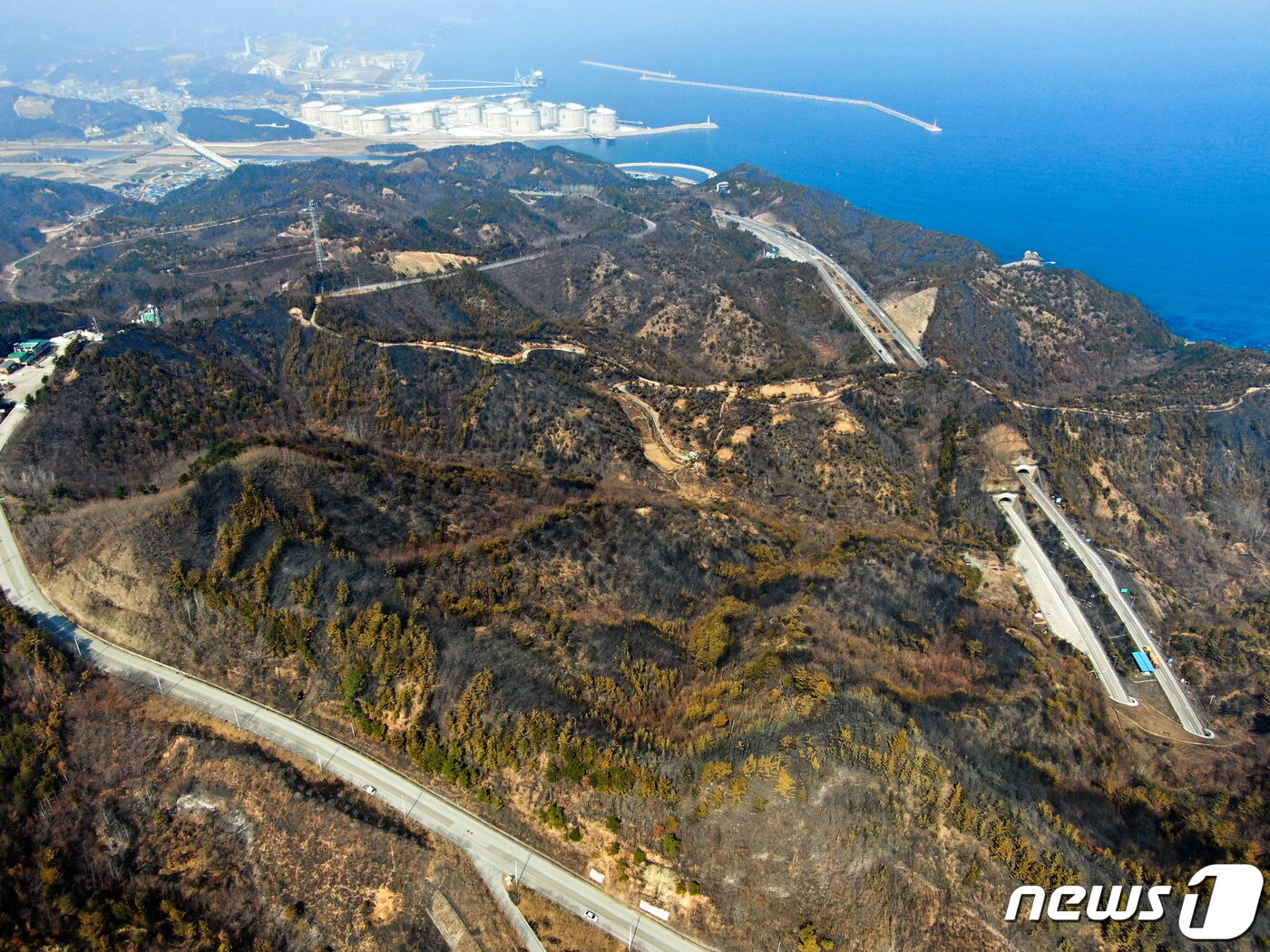 본문 이미지 - 경북 울진·강원 삼척 산불 엿새째인 9일 강원 삼척 원덕읍 월천리 일대 산림이 불에 타 까맣게 그을려 있다. 불에 탄 야산 너머 좌측 상단엔 강원 삼척시 호산항 LNG생산기지가 자리잡고 있다. 산림청과 소방당국, 지자체에 따르면 이날 울진˙삼척 산불의 전체 진화율은 70%까지 높아진 상황이다. 2022.3.9/뉴스1 ⓒ News1 민경석 기자