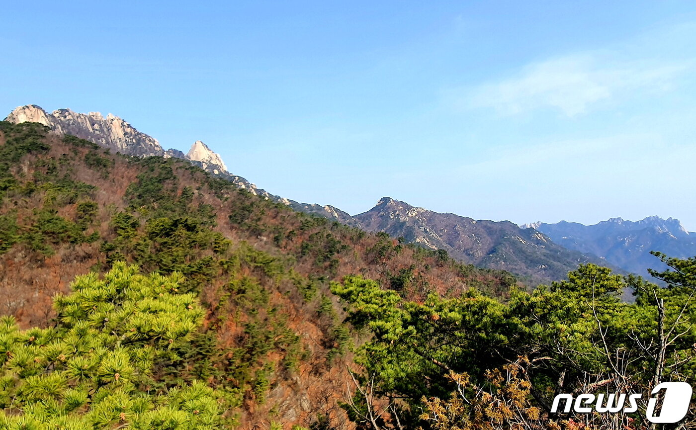 본문 이미지 - 진달래능선에서 바라보는 북한산 척추. 왼쪽 용암봉-만경대-인수봉, 가운데 영봉, 오른쪽 도봉산 ⓒ 뉴스1
