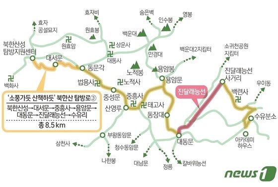본문 이미지 - ⓒ 뉴스1 김초희 디자이너
