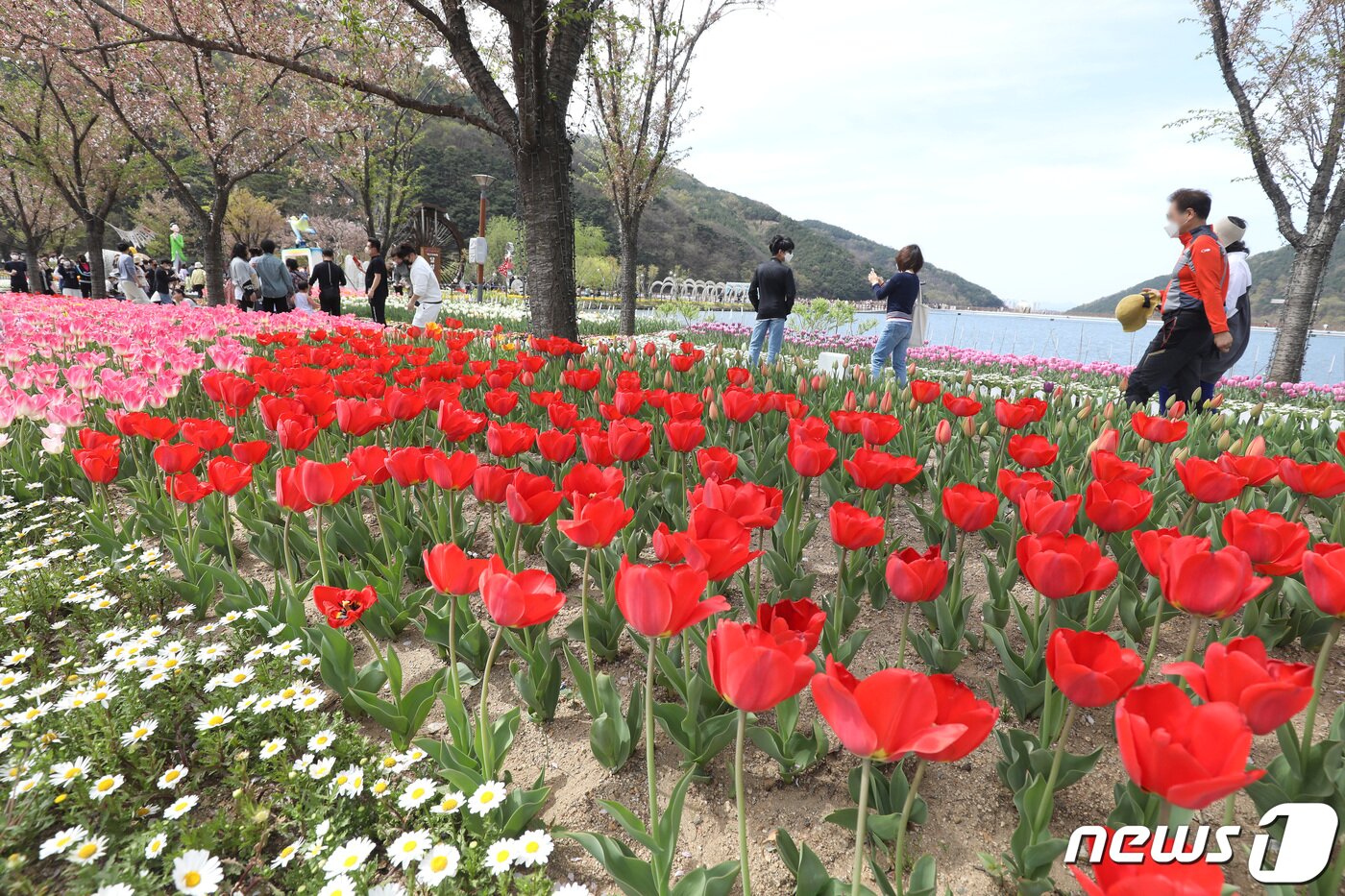 본문 이미지 - 10일 대구의 낮 기온이 26도를 넘어 초여름 날씨를 보인 가운데 달성군 옥포읍 송해공원을 찾은 시민들이 활짝 핀 튤립 정원을 산책하며 휴일 오후를 만끽하고 있다. 2022.4.10/뉴스1 ⓒ News1 공정식 기자