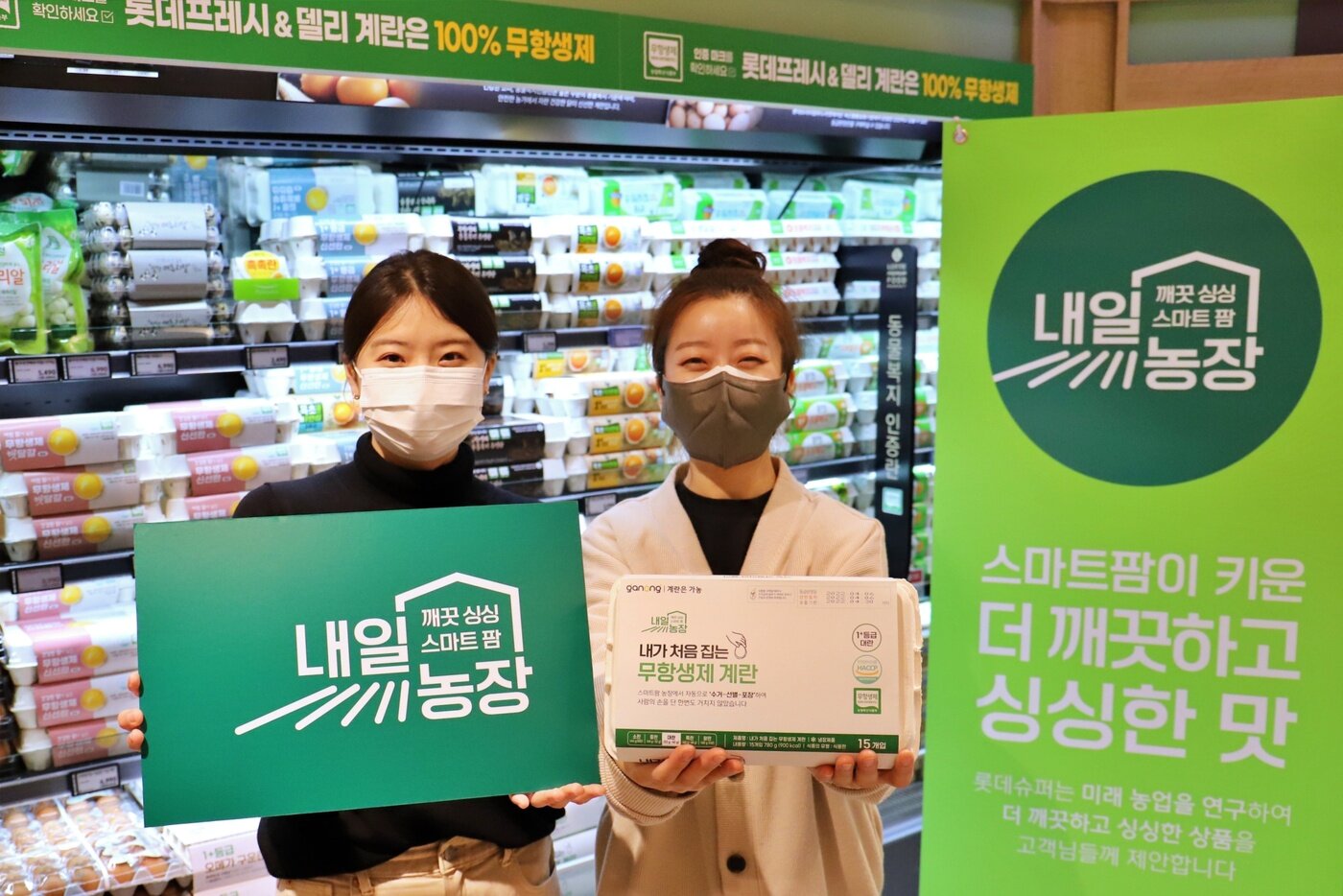 본문 이미지 - 롯데슈퍼 스마트팜 채소 브랜드 &#39;내일농장&#39;.&#40;롯데슈퍼 제공&#41; ⓒ 뉴스1