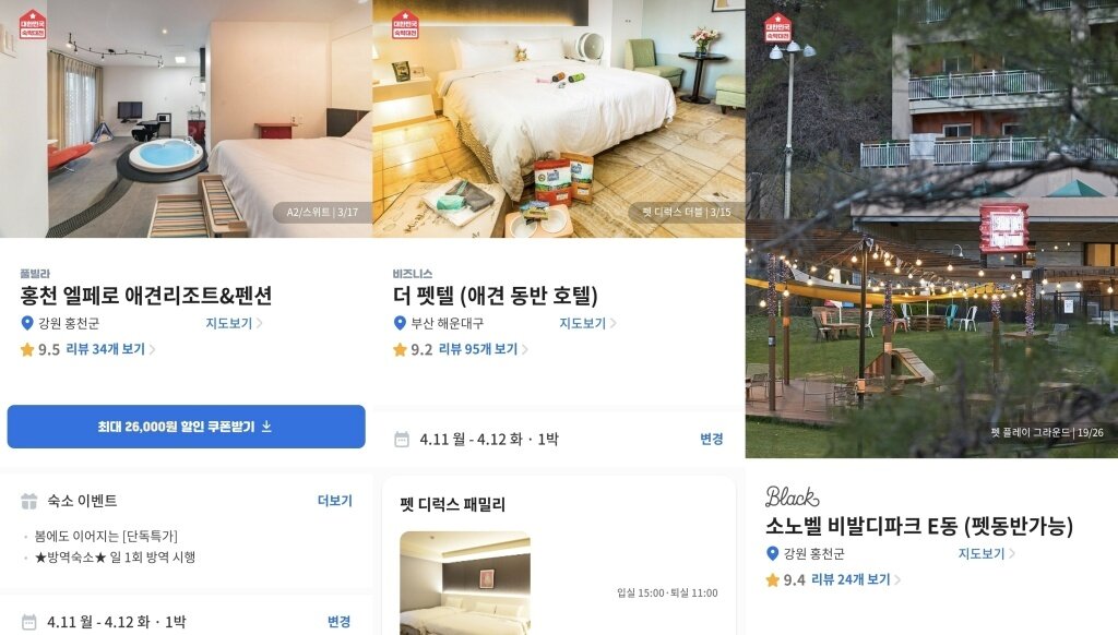 본문 이미지 - 반려견 동반 가능한 숙박시설(여기어때 홈페이지 갈무리) ⓒ 뉴스1