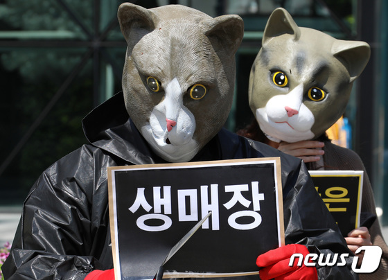 한국동물보호연합, 길고양이 생존권 보장 촉구