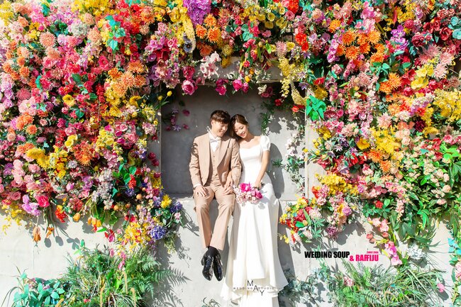 본문 이미지 - 사진제공=웨딩숲N라피쥬, 메이스튜디오, 블랑늘, 엘페라 ⓒ 뉴스1