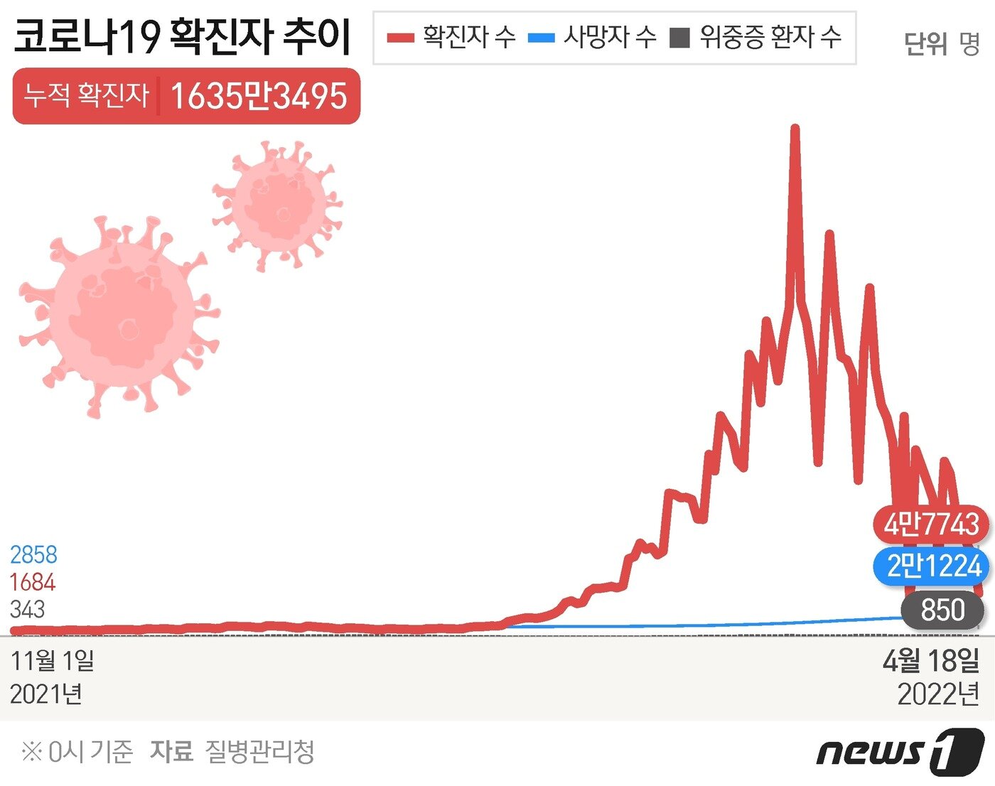 본문 이미지 - ⓒ News1 윤주희 디자이너