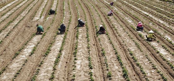 내년 외국인력 고용허가 쿼터 13만명…경기 악화로 21% 감소