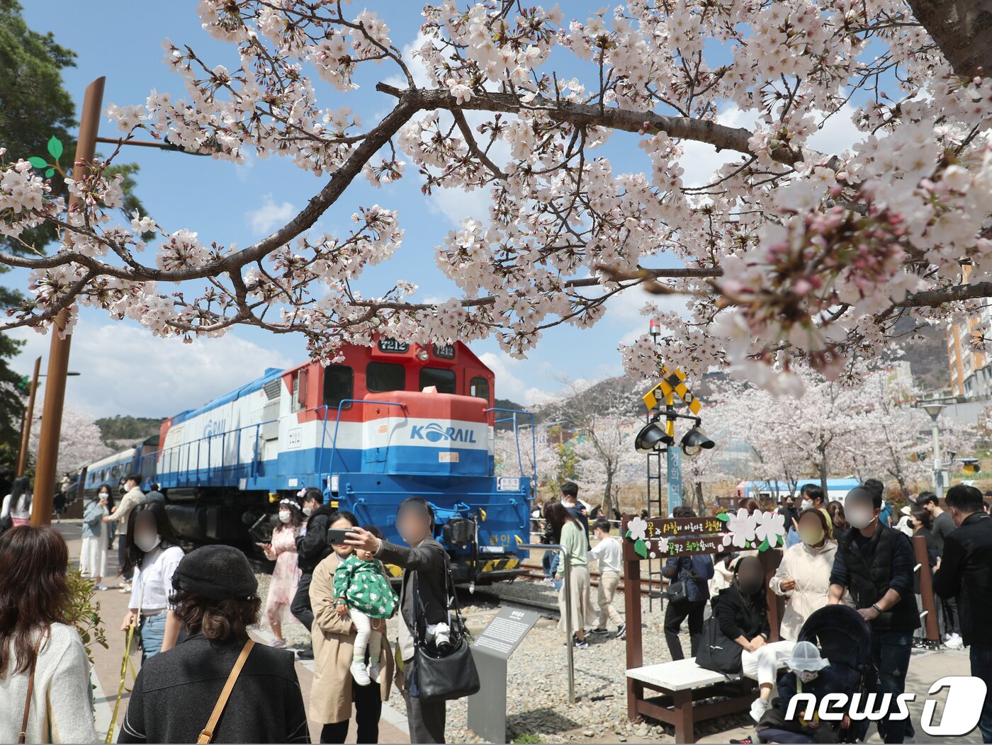 본문 이미지 - 2일 경남 창원시 진해구 경화역 벚꽃길 일대를 찾은 시민들이 만개한 벚꽃을 구경하고 있다. 전국 최대 벚꽃 축제인 진해군항제는 코로나19 확산 방지를 위해 3년 연속 취소됐다. 2022.4.2/뉴스1 ⓒ News1 김영훈 기자
