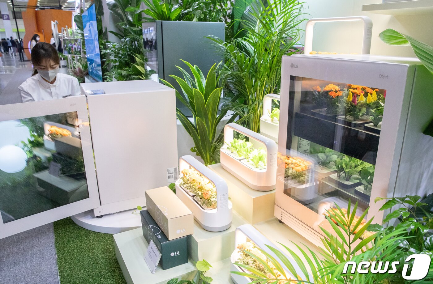 본문 이미지 - 20일 서울 강남구 코엑스에서 열린 2022 월드 IT쇼에서 LG전자 관계자가 식물생활가전인 '틔운'을 소개하고 있다. 2022.4.20/뉴스1 ⓒ News1 이재명 기자